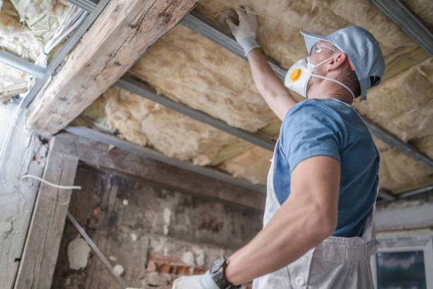 Best Geographic-Specific Insulation Services in Antlers, OK