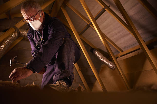 Best Cellulose Insulation in Antlers, OK
